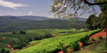 Beautiful, green Tzaneen in the Limpopo province. Photo: Michael (Fihliwe) Denne / flickr