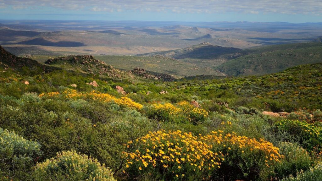 Northern Cape