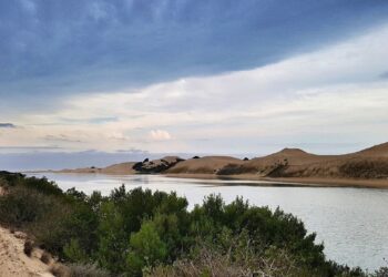 addo elephant national park