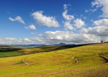 cape overberg western cape