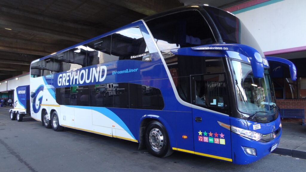 Greyhound