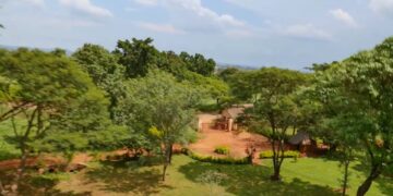 Limpopo