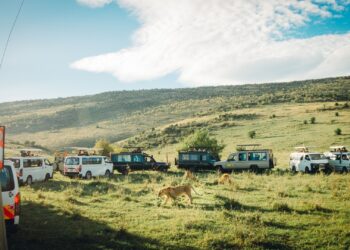 Safari vehicles in Masai Mara National Reserve. Photo: Matthieu Pétiard / unsplash