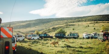 Safari vehicles in Masai Mara National Reserve. Photo: Matthieu Pétiard / unsplash