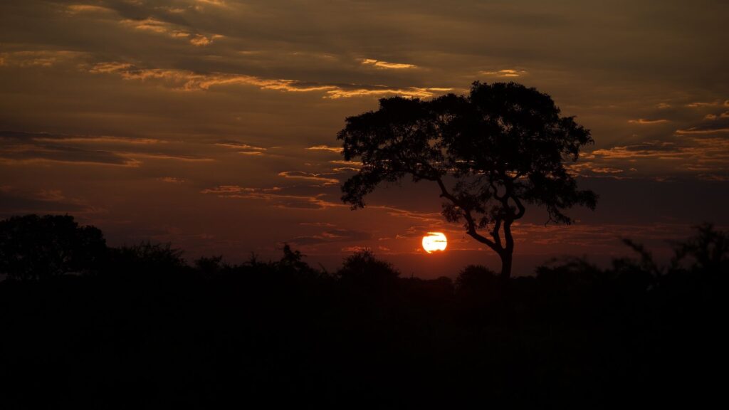 Kruger National Park