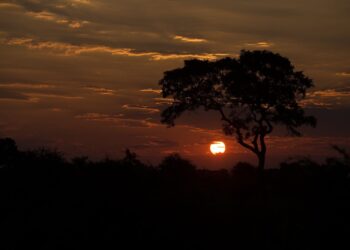 Kruger National Park