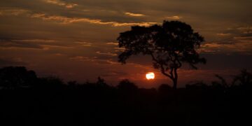 Kruger National Park