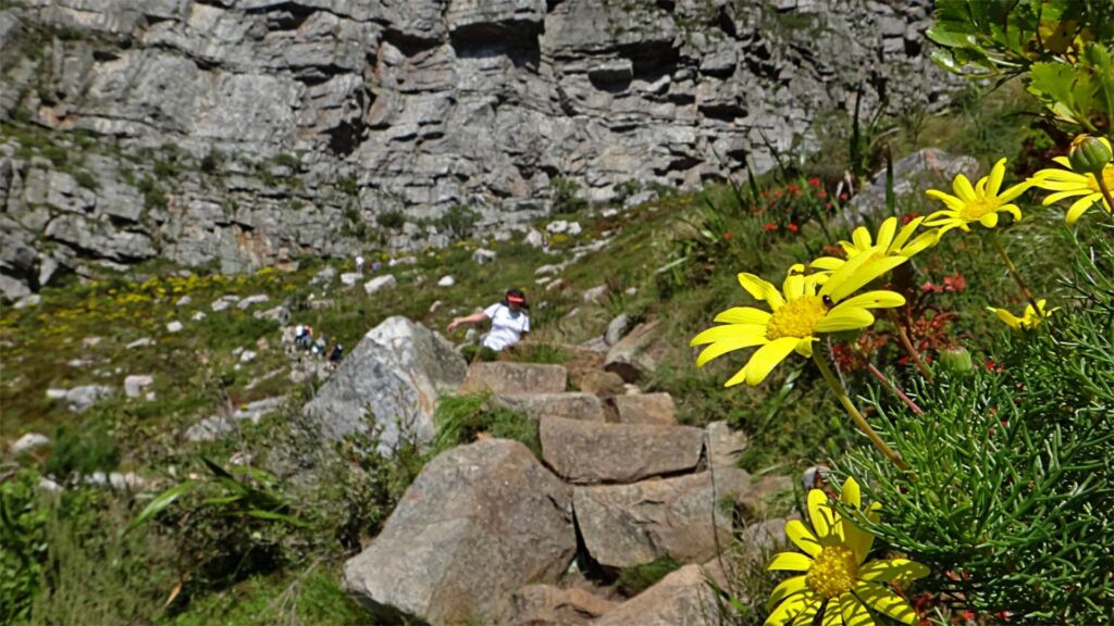 Table Mountain