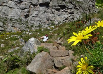 Table Mountain