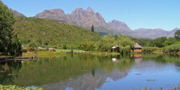wine farms