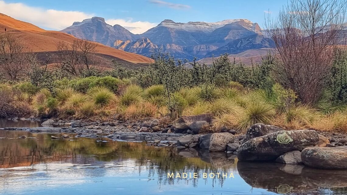 SEE Stunning pictures of snow in South Africa today I Love South Africa