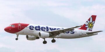 edelweiss