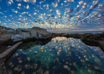 tidal pools