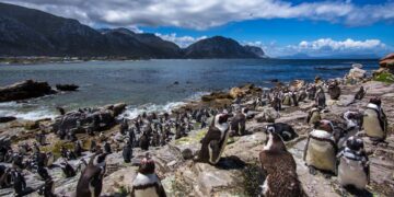 Marine protected area
