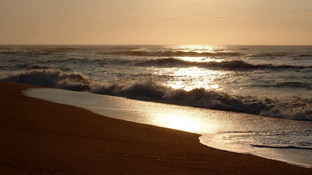 Durban beaches