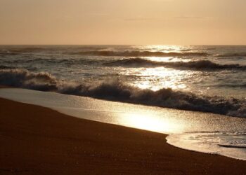 Durban beaches