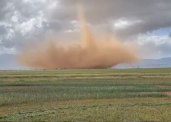 tornado western cape