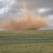 tornado western cape