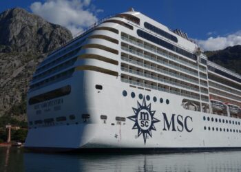 msc cruises