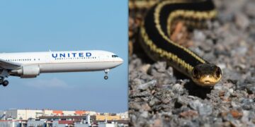 united airlines