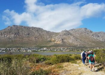 Cape Town wetland