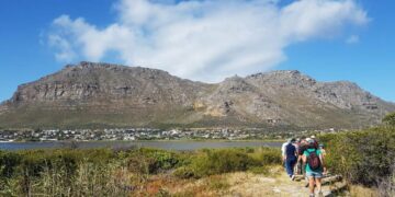 Cape Town wetland