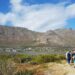 Cape Town wetland