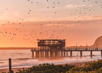 durban beaches