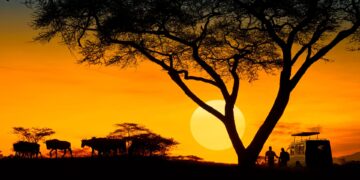 safaris PETA awards