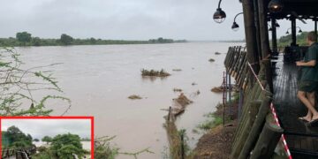 Roads closed in Kruger National Park due to heavy rain