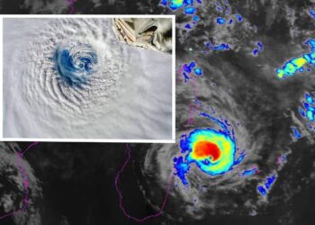 Cyclone Freddy