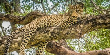KZN game reserves