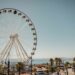 Cape Wheel