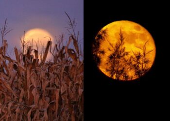 When and how to see the Harvest FULL MOON in March 2023