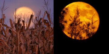 When and how to see the Harvest FULL MOON in March 2023