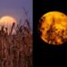 When and how to see the Harvest FULL MOON in March 2023