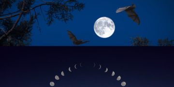 full moon