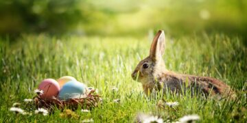 Easter events south africa