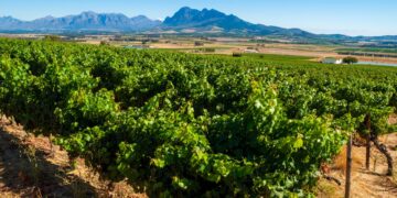 Franschhoek