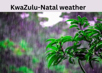 South africa weather forecast