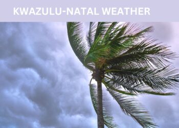 South Africa weather forecast