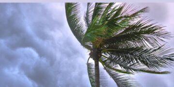 South Africa weather forecast