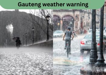 south africa weather forecast