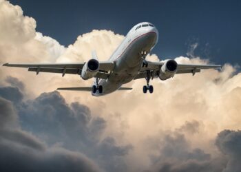 bird strike on passenger plane