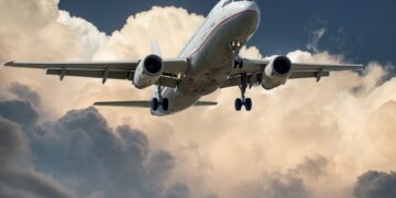 bird strike on passenger plane