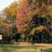 Autumn colours on display at Johannesburg Botanical Gardens. Image : Lorne Philpot