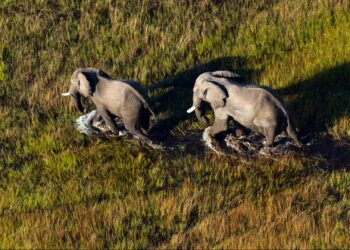 eco-friendly game lodges africa