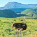 SANParks cash-free cashless