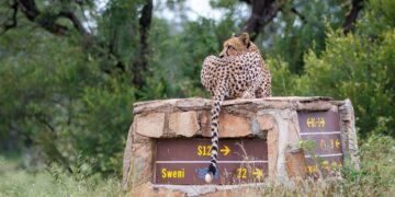 kruger national park