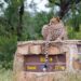 kruger national park